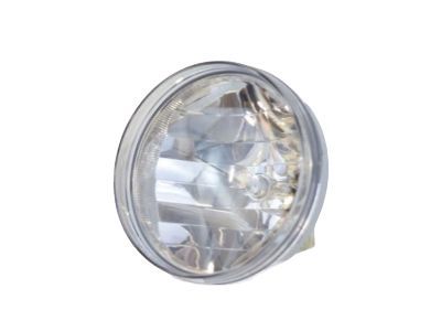 GM 25866495 Fog Lamp Assembly