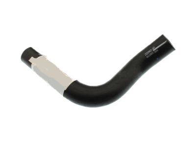 GM 22827735 Lower Hose