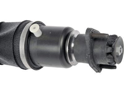 GM 19300025 Shock Absorber