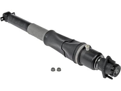 GM 19300025 Shock Absorber