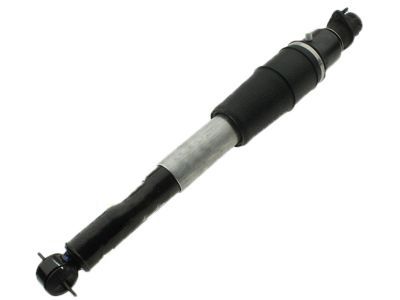 GM 19300025 Shock Absorber