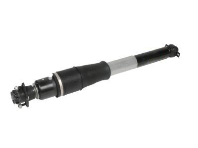 GM 19300025 Shock Absorber