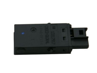 GM 13318777 Auxiliary Jack