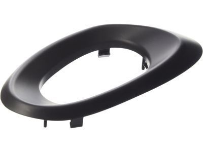 GM 15214502 Handle Bezel