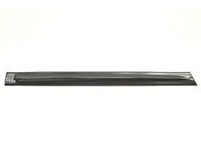 GM 22997638 Body Side Molding