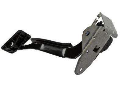 GM 15177923 Pedal, Accelerator(W/Module & Position Sensor)
