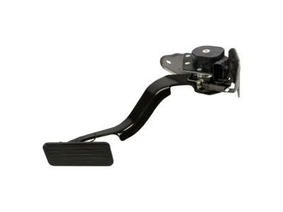 GM 15177923 Pedal, Accelerator(W/Module & Position Sensor)