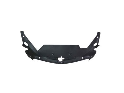GM 23199234 Sight Shield
