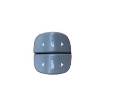 GM 12451271 Switch Asm, Radio Control (Medium Gray) *Gray