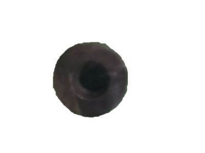 GM 11612078 Front Pipe Nut