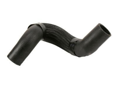 GM 15891668 Lower Hose