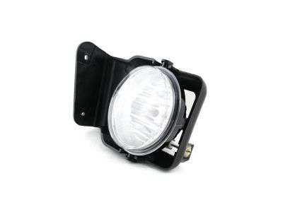 GM 15776381 Fog Lamp Assembly