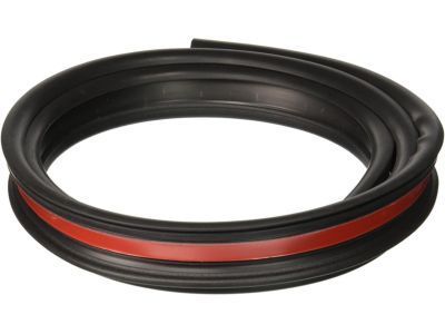 GM 15113129 Door Weatherstrip