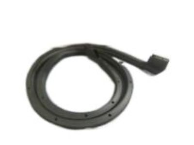 GM 20963562 Rear Weatherstrip