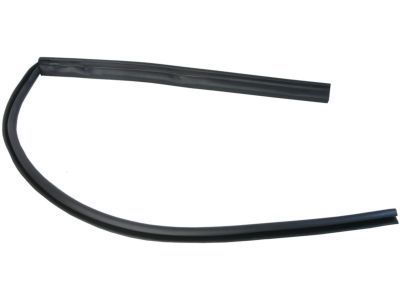 GM 20921214 Belt Weatherstrip