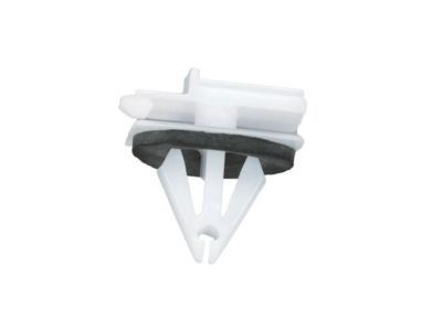 GM 11562333 Rear Molding Clip