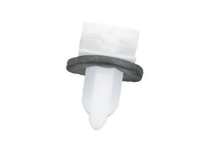 GM 11562333 Rear Molding Clip