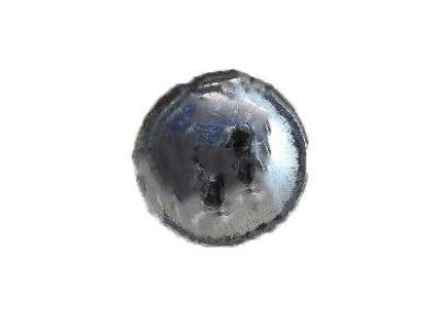 GM 94520443 Lock Screw