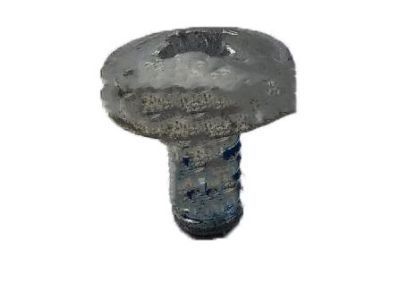 GM 94520443 Lock Screw