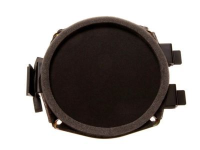 GM 15038566 Front Door Speaker