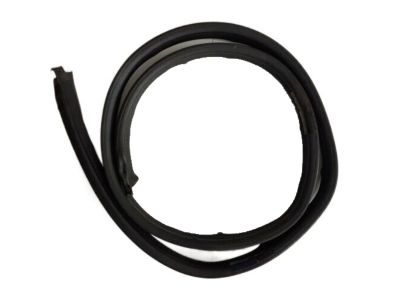 GM 20787126 Weatherstrip