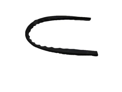 GM 15983925 Weatherstrip, Rear Door