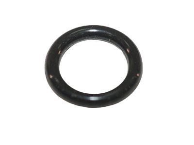 GM 25740416 Lower Hose Seal