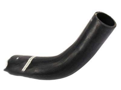 GM 25668020 Lower Hose