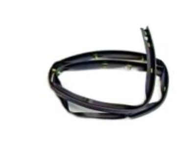 GM 25790461 Lower Weatherstrip