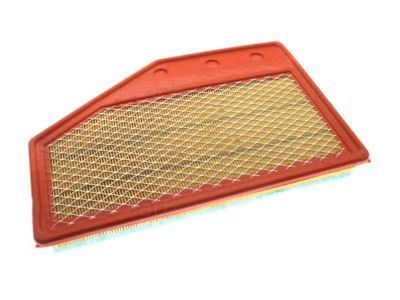 GM 23430313 Air Filter