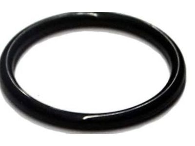 GM 94011602 By-Pass Pipe Upper Seal