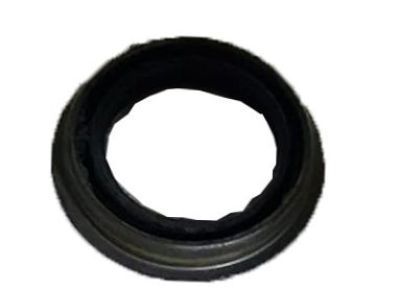 GM 24228876 Extension Housing Seal