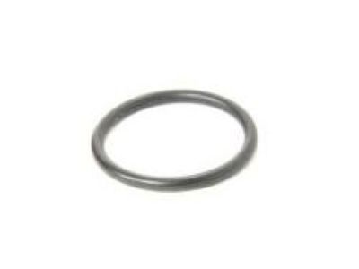 GM 55569307 Drain Plug Seal