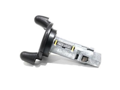 GM 15815961 Cylinder & Keys