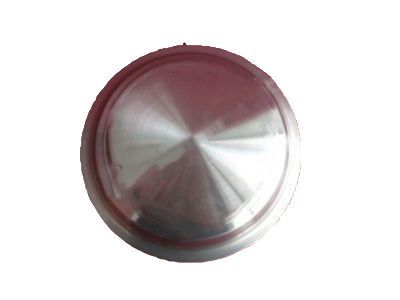 GM 10180840 Wheel Trim CAP