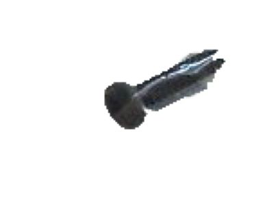 GM 11508919 License Bracket Bolt