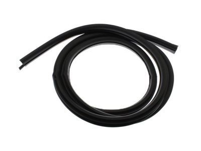 GM 22766399 Surround Weatherstrip