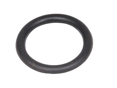 GM 25740419 Liquid Line Seal