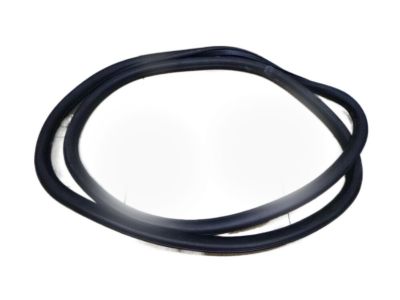 GM 95190186 Weatherstrip On Body