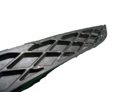 GM 20983394 Outer Grille