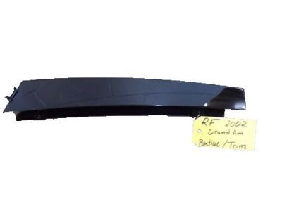 GM 21995391 Applique Asm-Front Side Door Window Frame Rear