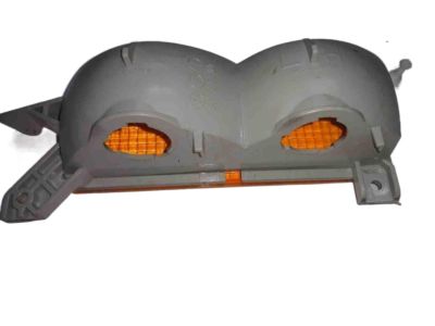 GM 5975817 Lamp Asm-Parking & Turn Signal