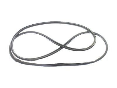 GM 15842998 Weatherstrip