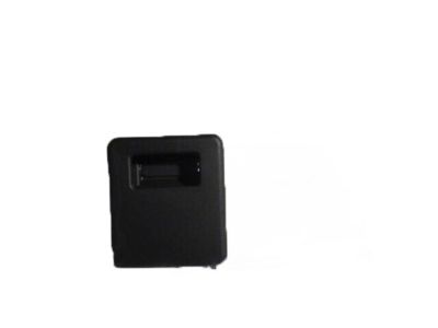 GM 23106384 Floor Mat Handle