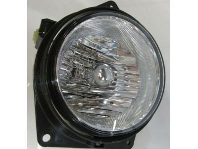 GM 25949921 Lamp Asm-Front Fog