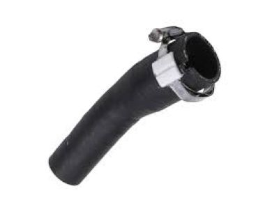 GM 13247493 Hose Asm-Fuel Tank Filler