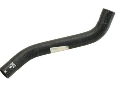 GM 22962568 Lower Hose