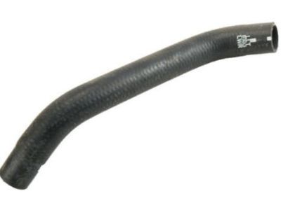 GM 22962568 Lower Hose