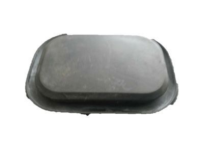 GM 10283990 Door Shell Plug