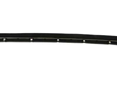 GM 12472704 Wiper Asm, Windshield Insert *Black